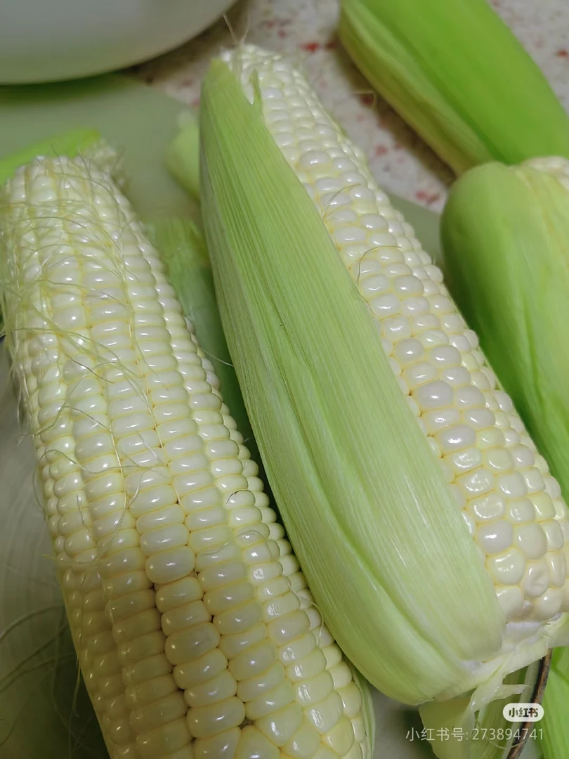 农村自家种植的白玉米糯玉米