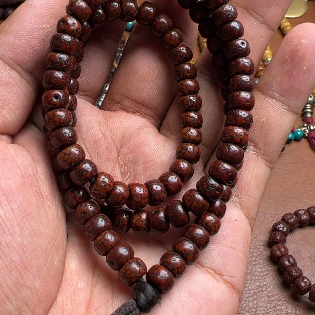 香榧木和***熟星月老年份老年份