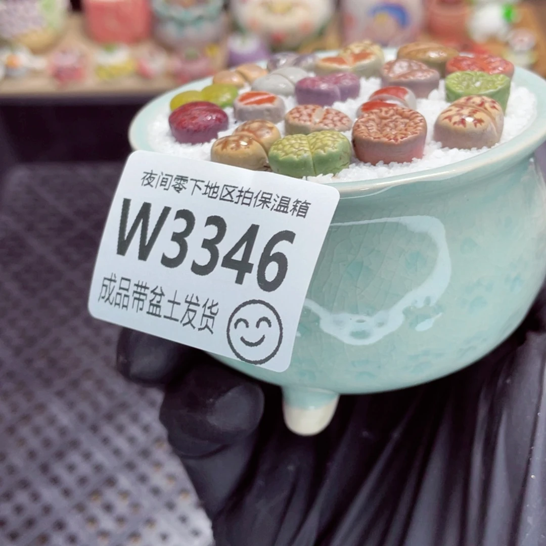 夜间零下地区拍保温箱w3346