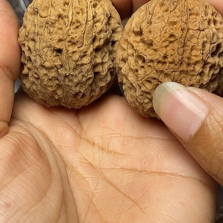 文玩核桃把件云南铁核桃44