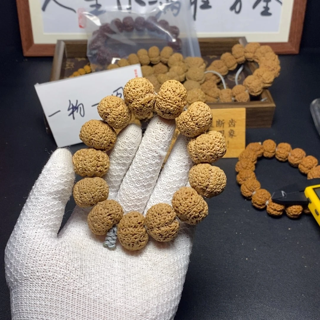 木质金刚菩提700号