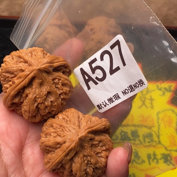 粗筋41加527号123