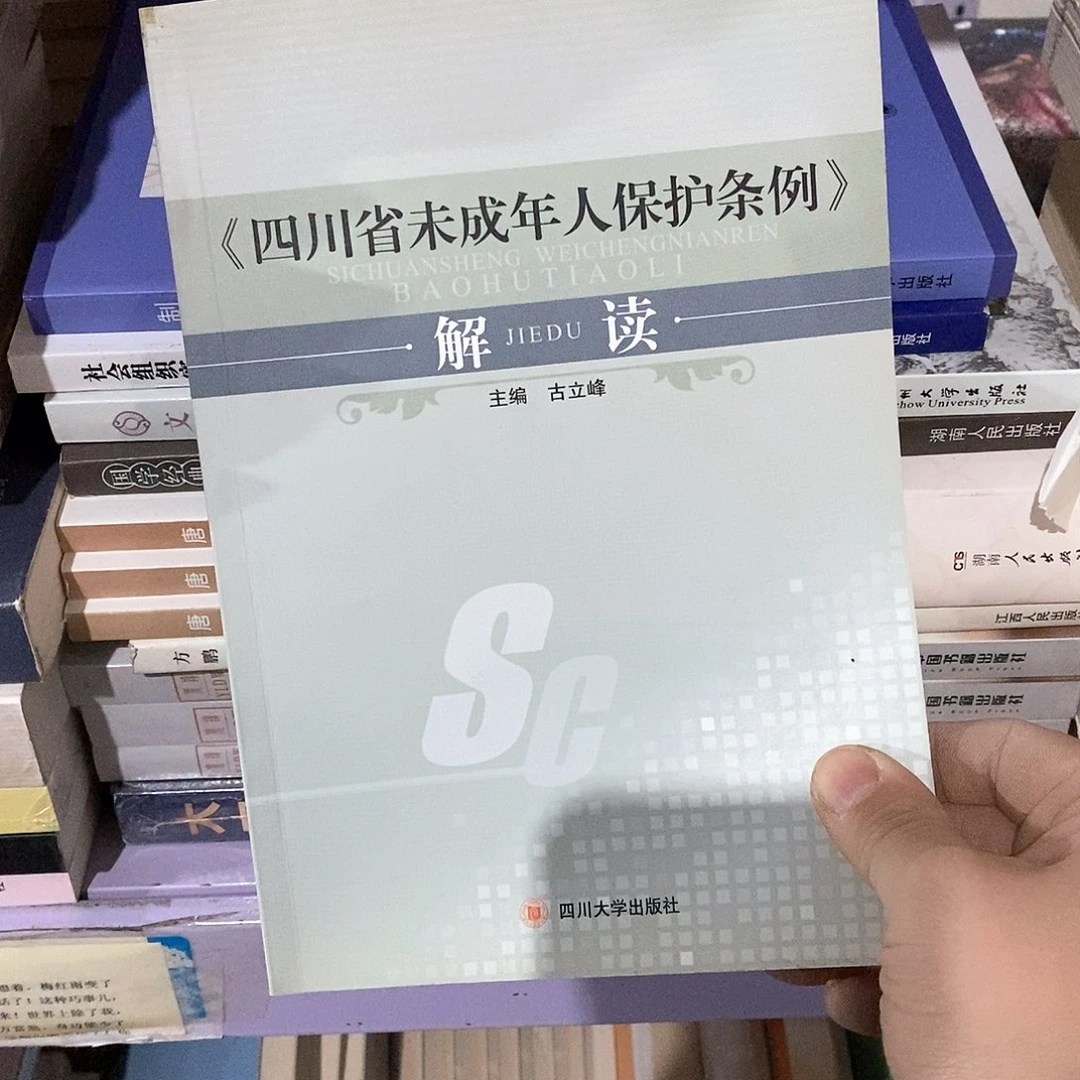 四川省未成年保护条例……