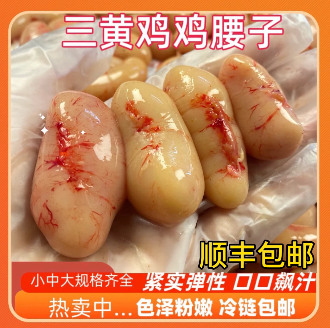 广西广东包邮（包新鲜）广西南宁三黄鸡腰子公鸡蛋鸡春鸡子鸡腰