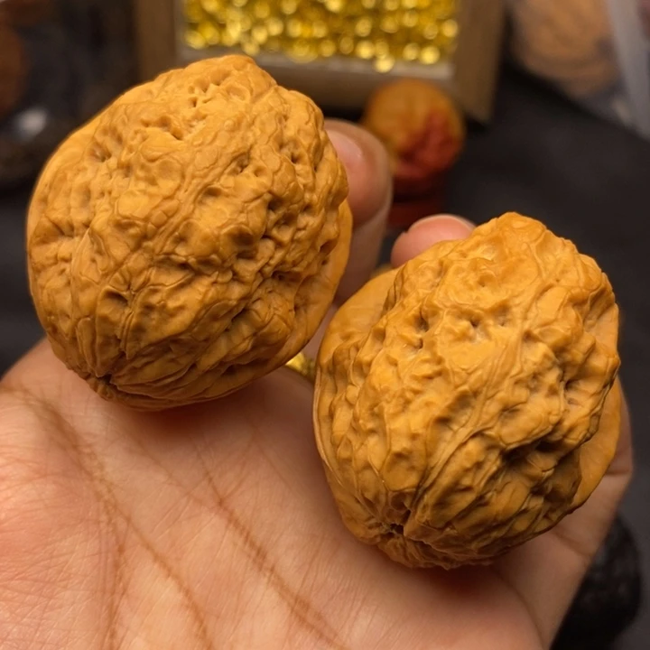 文玩核桃把件40尺金蟾王