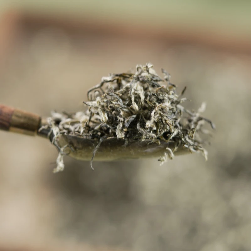 【一芽一叶】特级二等2025苏州洞庭山碧螺春茶东山绿茶叶礼盒装