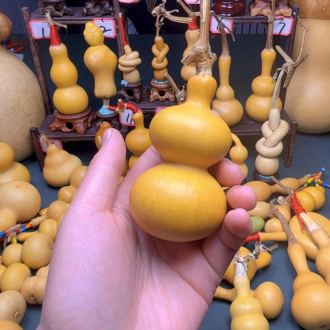 风*不退不换，不售后