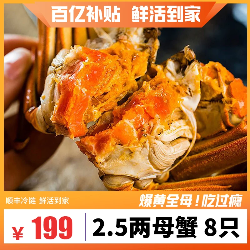 【苏州精品活蟹】2.5两顶壳肥全母蟹 8/10/12只装 秋后大闸蟹 包邮