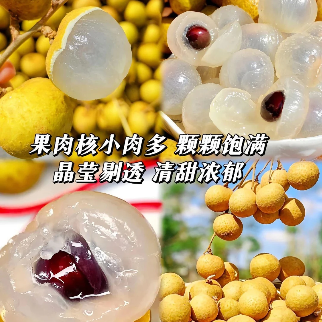 XXX【福利品】泰国进口龙眼1/2/3/5斤整箱核小肉多爆甜爆汁现摘现发