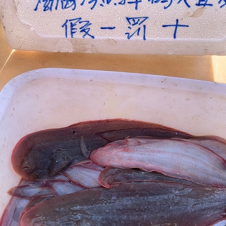 海捕吉头鱼，共记2.24斤，悟道专拍