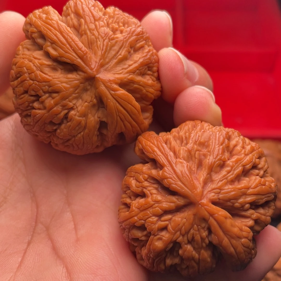 文玩核桃把件秦岭山脉