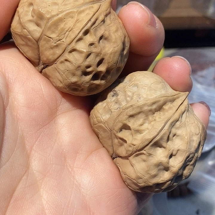 把件文玩核桃88877777777