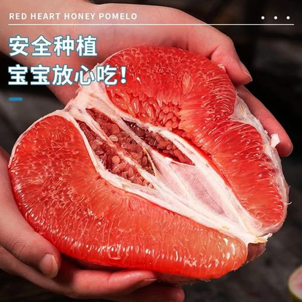 【琯溪蜜柚 多仓发货】福建平和红心蜜柚 当季新鲜水果 老树红柚