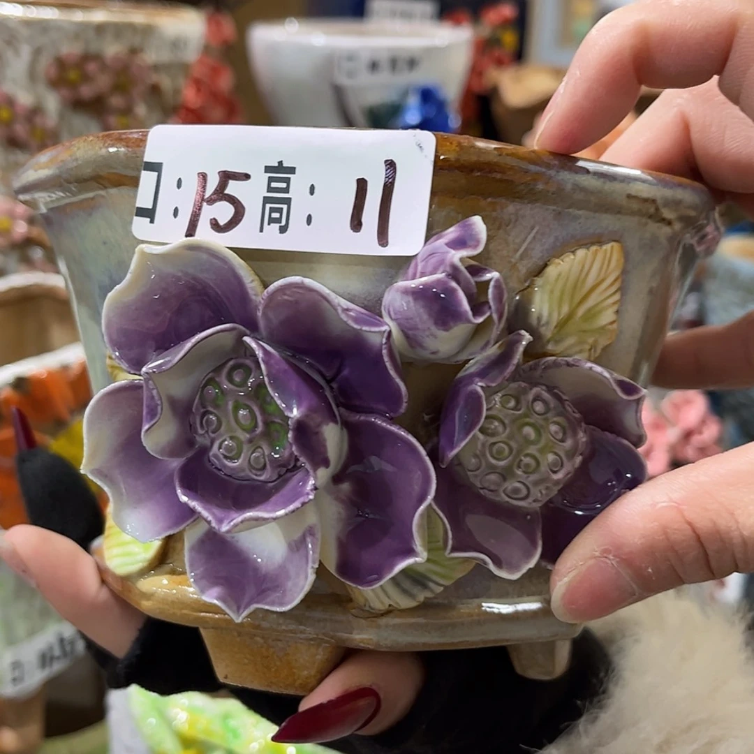 【闪购商品】红陶福利