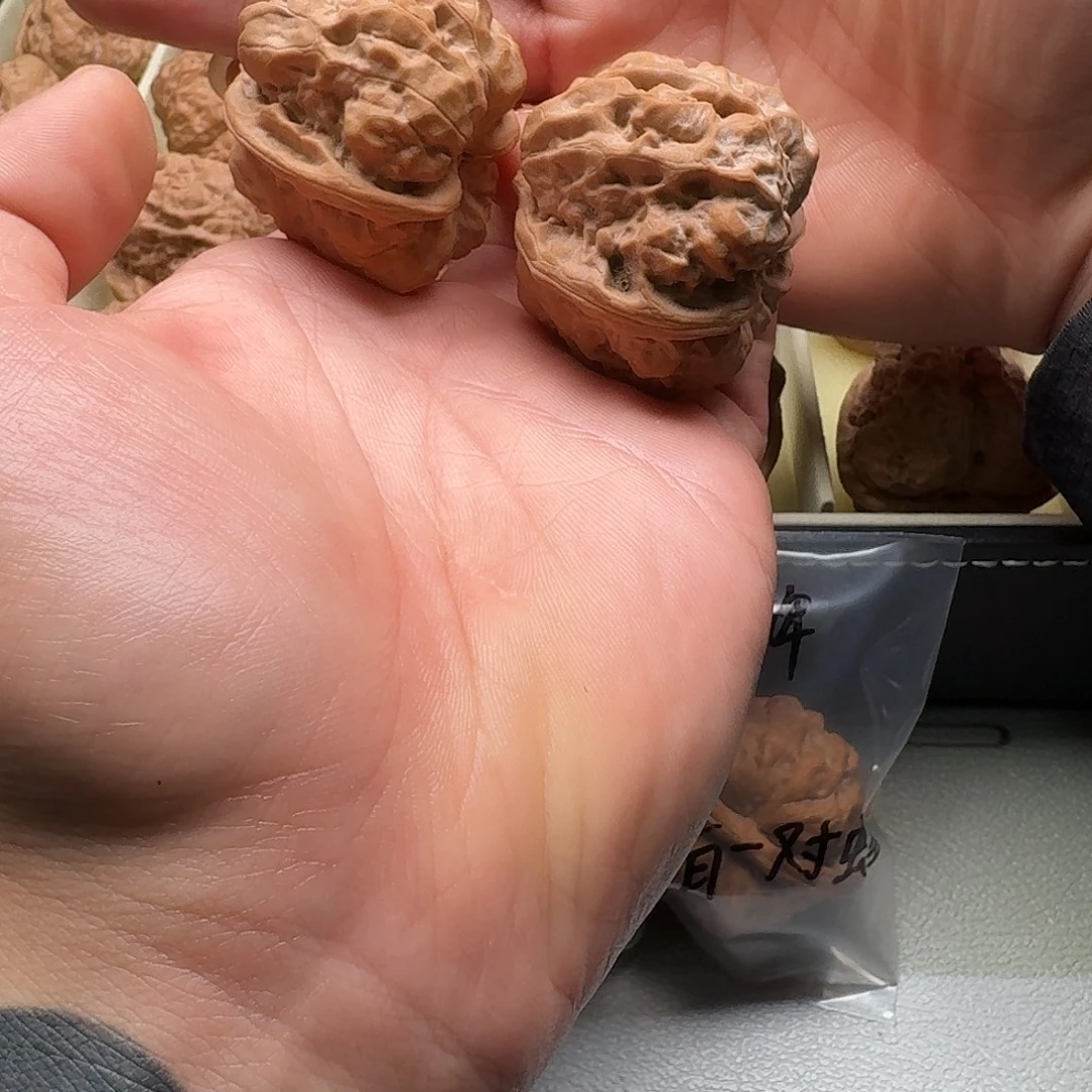 大叶紫檀（黑酸枝木类）