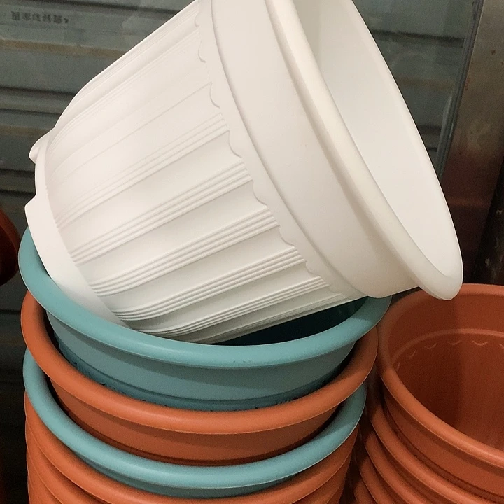罗马口24高20白4个无托