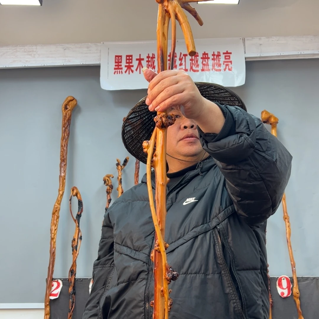 黑果木其他陈*超黑果木631