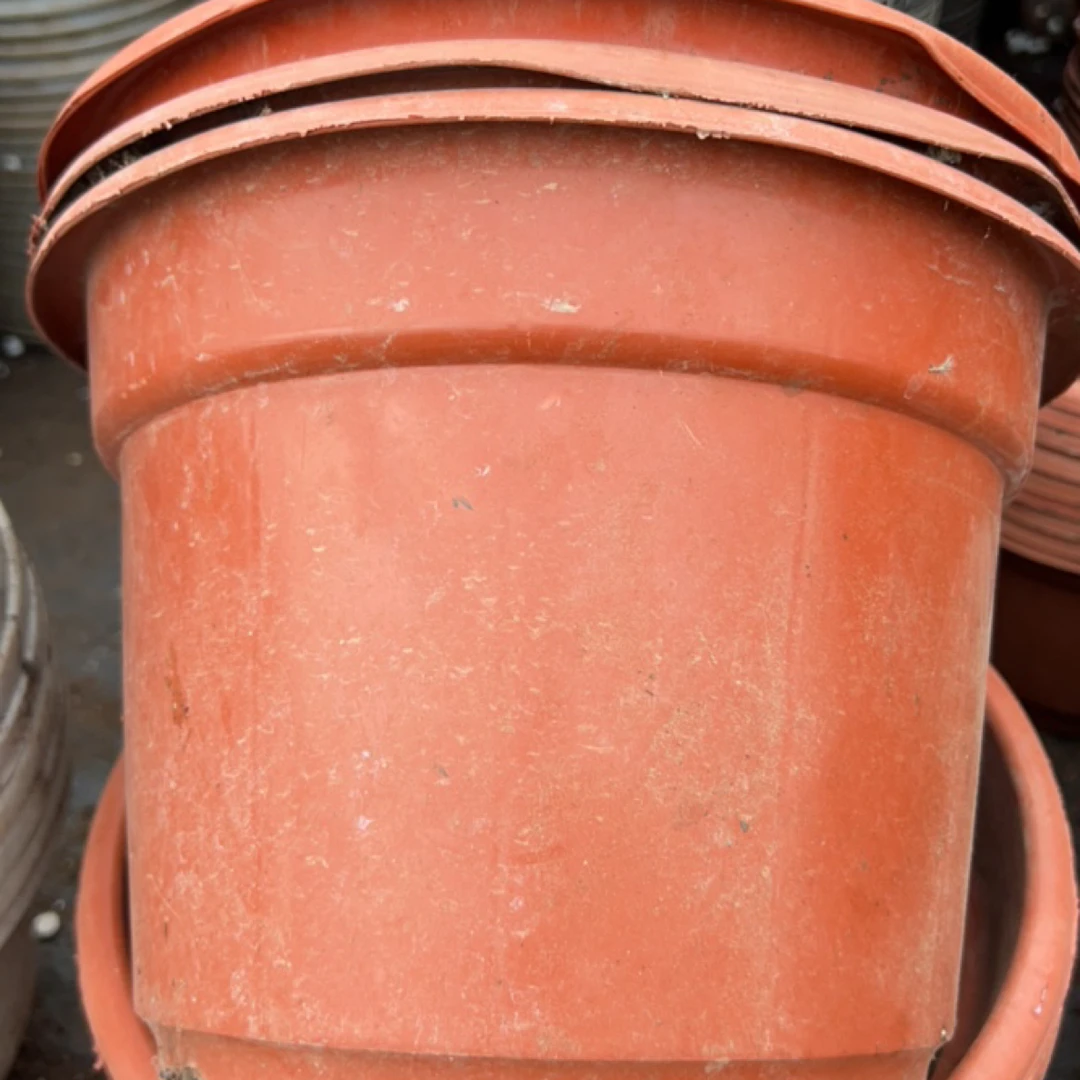 多肉旧花盆 25口径红圆盆19高  5个