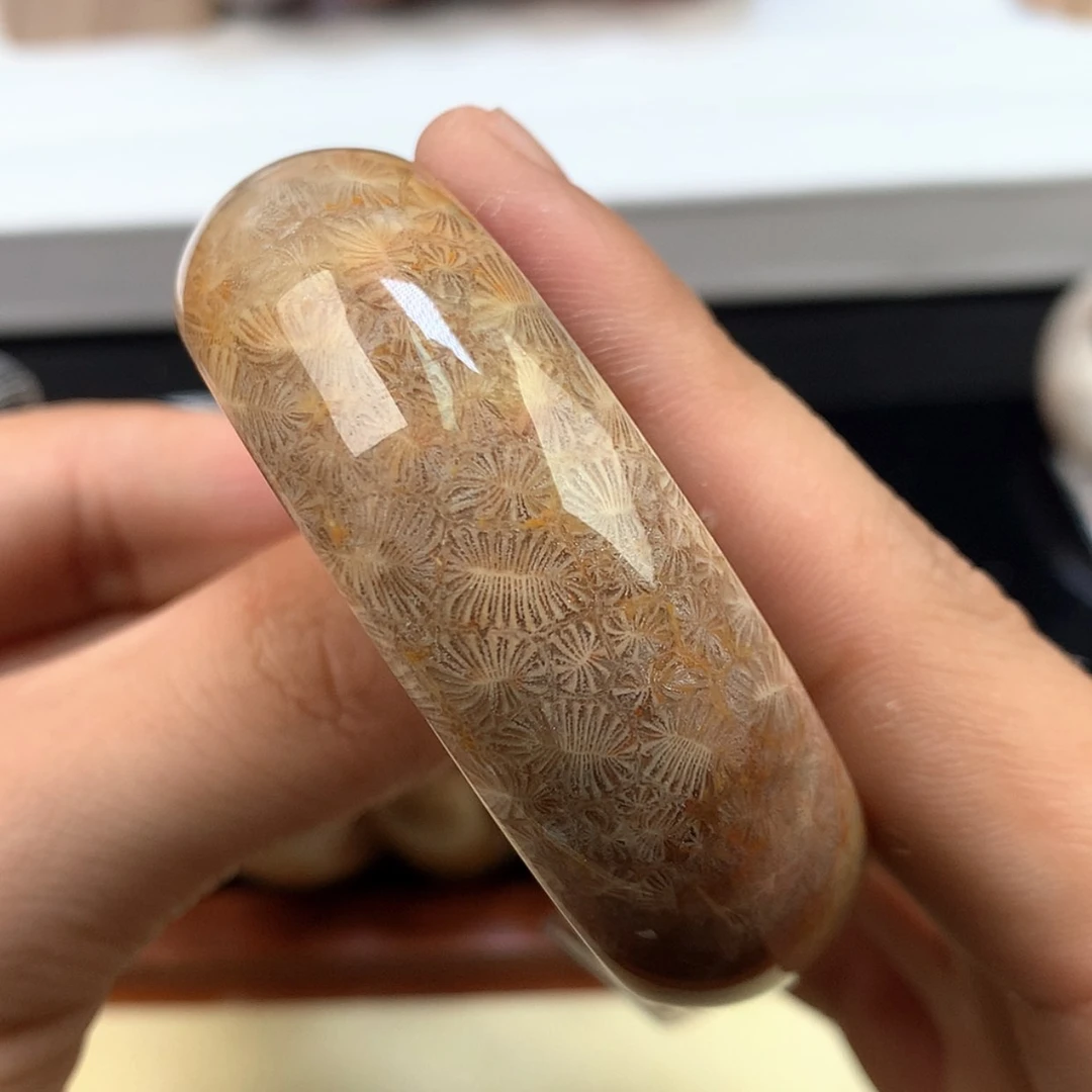 【闪购商品】颈饰未镶嵌硅化珊瑚（珊瑚玉）70号52圈好清晰的虫