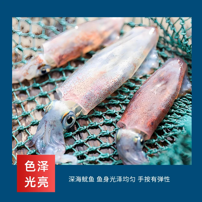 [朱有鱼]南海野生鱿鱼母三盒清蒸白灼辣炒顺丰包邮