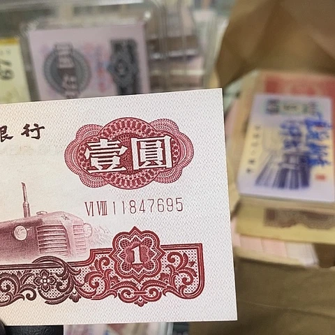 沙幸运树绝品福利款11847695