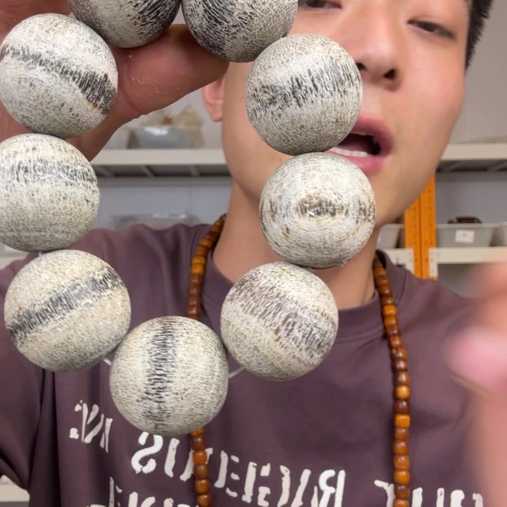 大果紫檀（缅甸花梨）C5