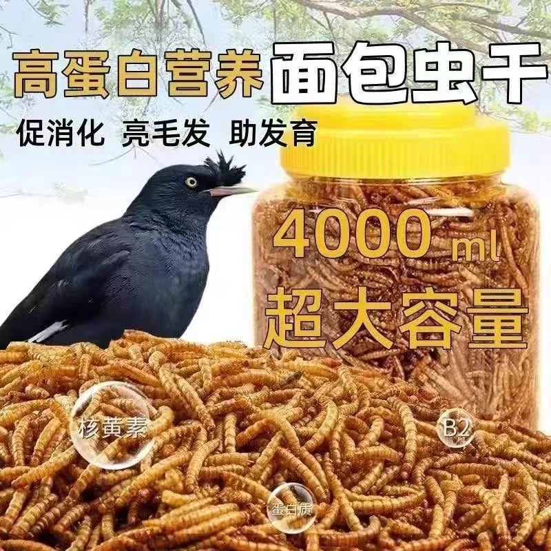 面包虫干高蛋白营养仓鼠乌龟鹦鹉等宠物饲料零食