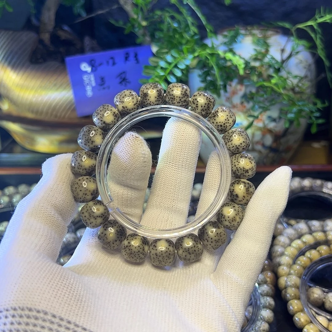 ****五手串星月菩提海南原生态