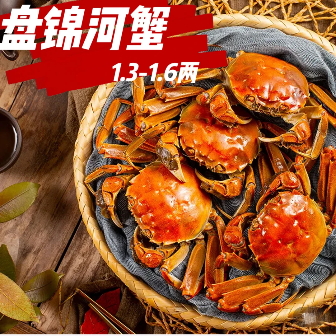 全母【活蟹】盘锦河蟹1.3-1.6两母2.5斤冷链直达