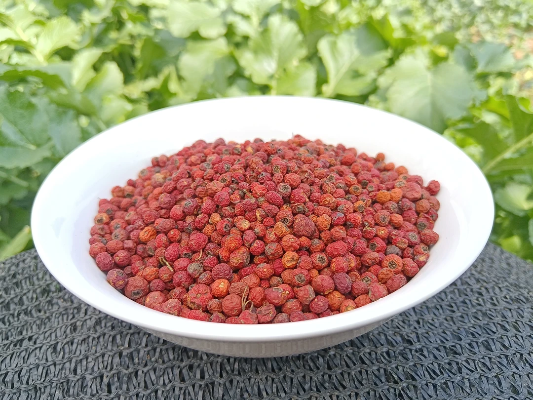 小五收山货【紫衫果】净重100克