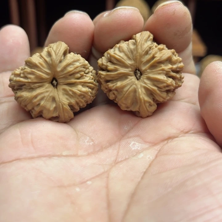 完全开放云***地南疆石