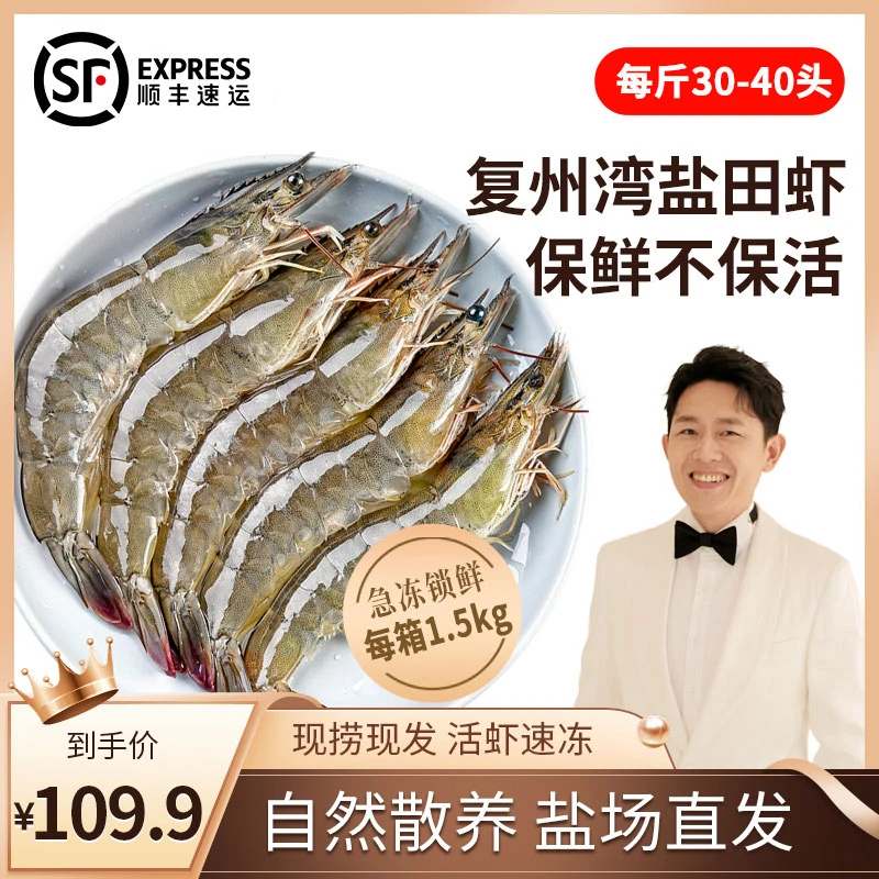 【起伦盐田虾】国企直营正宗大连复洲湾盐田虾 约30-40头/每斤