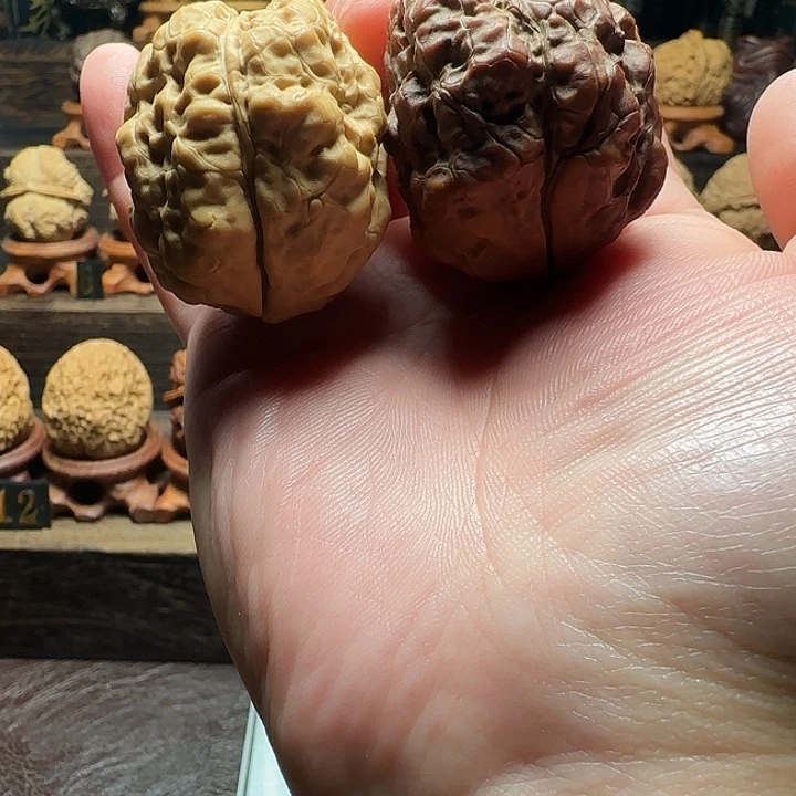 木质类老树九五伪三棱44尺