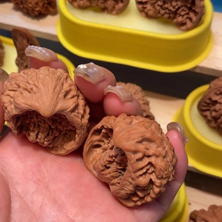 官方网站发布消息显示