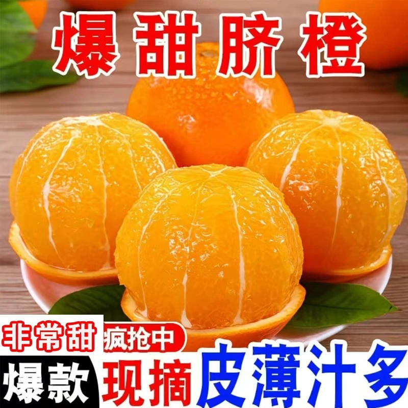 [普箱申通]长江边的纽荷尔脐橙香甜多汁带叶发货