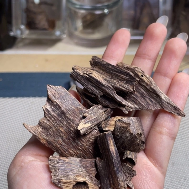 沉香海南尖峰岭红油老虫漏12克