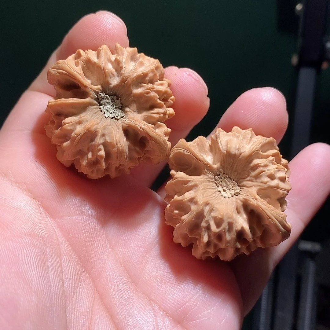 把件文玩核桃39龙门涧全品