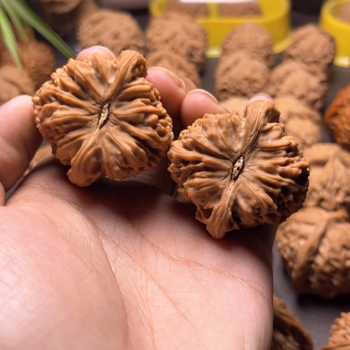 懂**好南疆石南疆石南疆石41