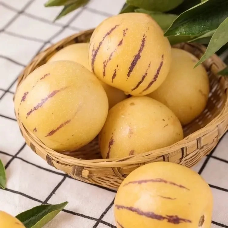 云南石林人参果当季新鲜人参果清甜多汁新鲜应季水果