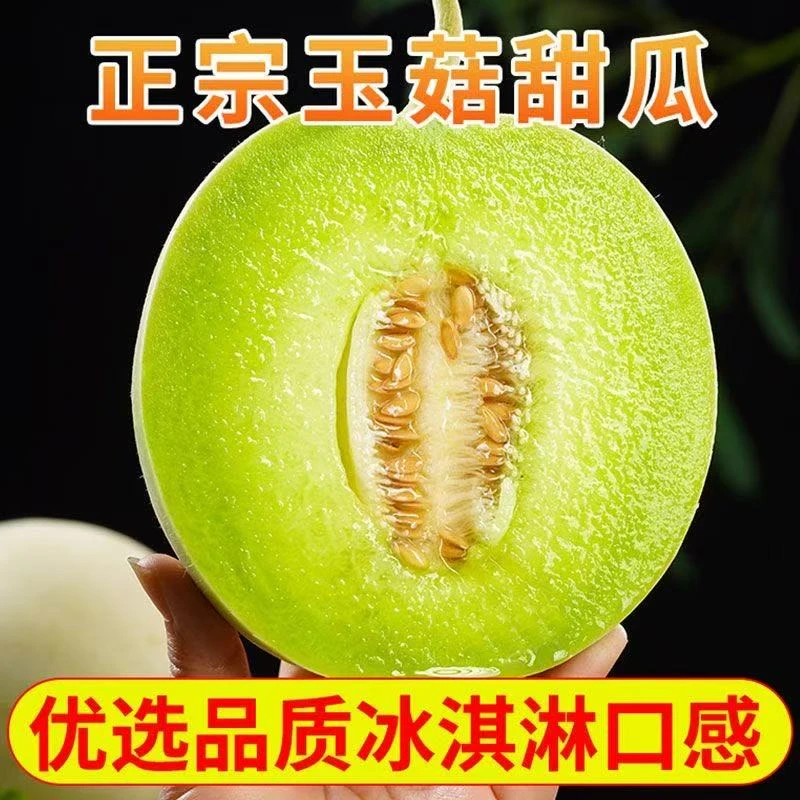 【山东头茬玉菇】正宗玉菇冰淇淋甜瓜新鲜应季水果