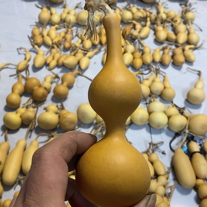 葫芦手把件本捻葫芦