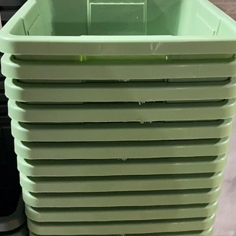 树脂方形3号果绿色6个带托