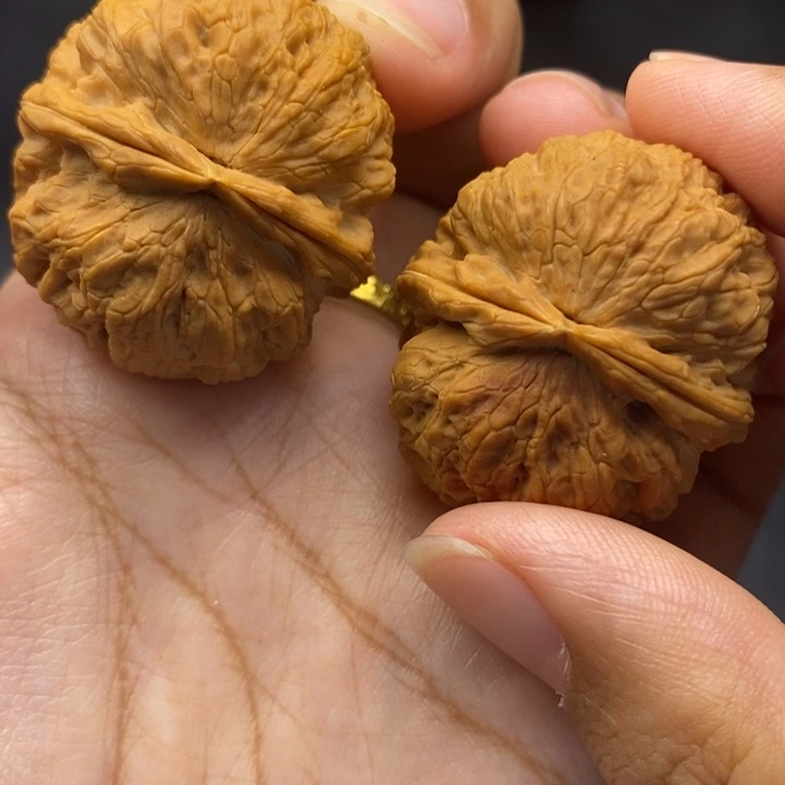 文玩核桃把件37尺铁狮子