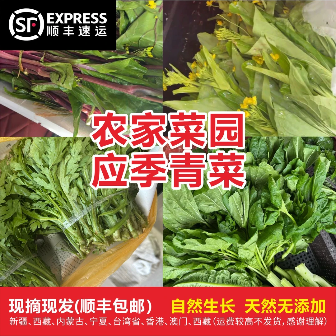 常德本地 农家菜园应季青菜