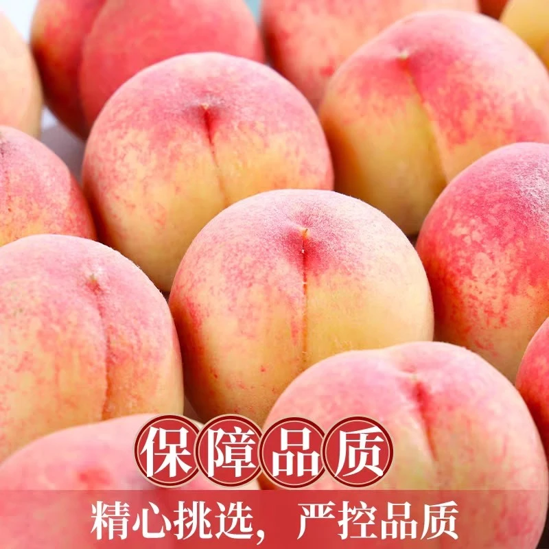 顺丰【果.王】砀山脆甜水蜜桃新鲜水果桃子桃现摘当季时令水果脆桃