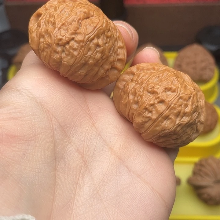 南瓜4241全品打底