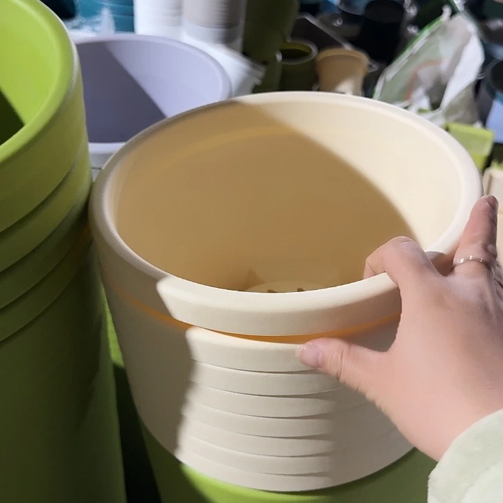 测26口径6个无托米黄