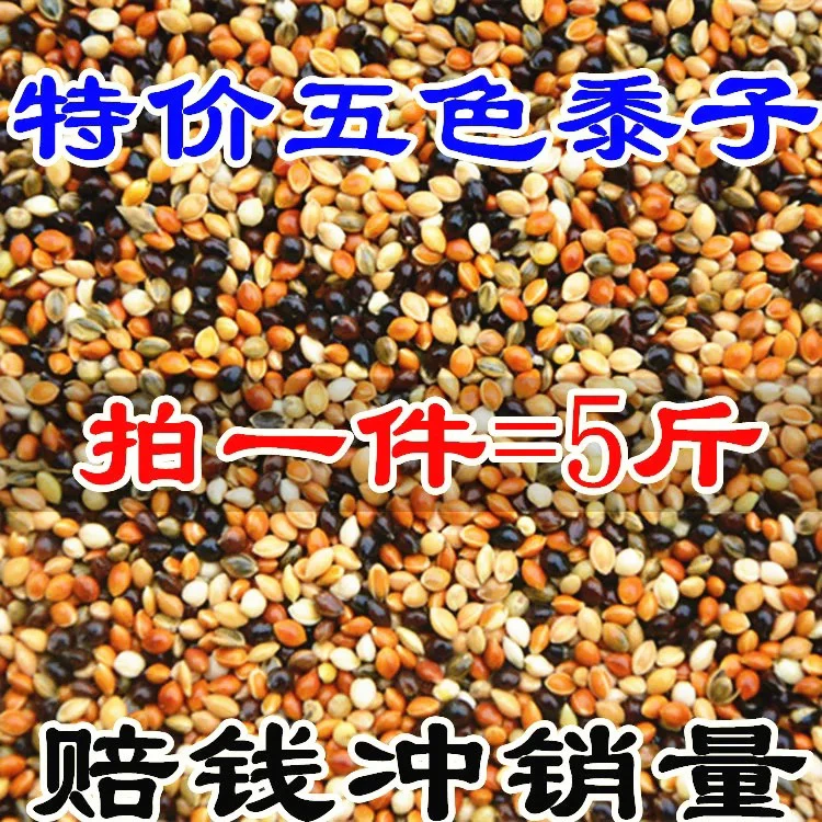 5斤五色黍子虎皮牡丹玄凤中小型鹦鹉鸟食饲料混合鸟粮10斤包邮