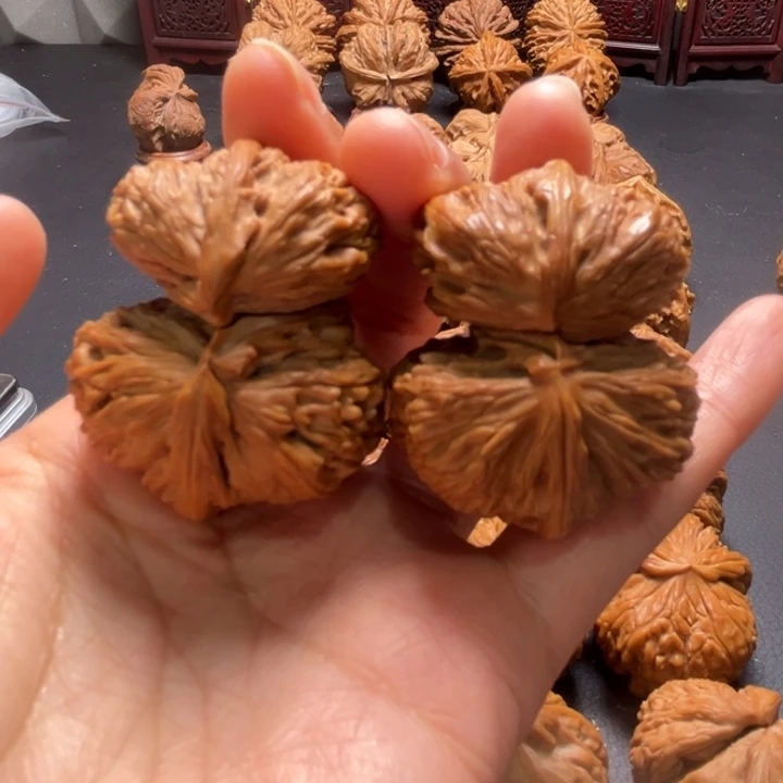 白狮子连体42尺寸核桃哈哈哈啦