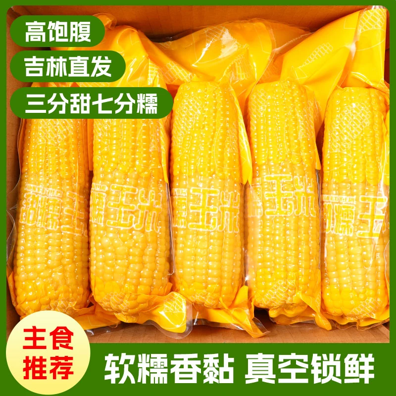 东北黄糯玉米棒粘苞米真空包装粗粮10根整箱5斤